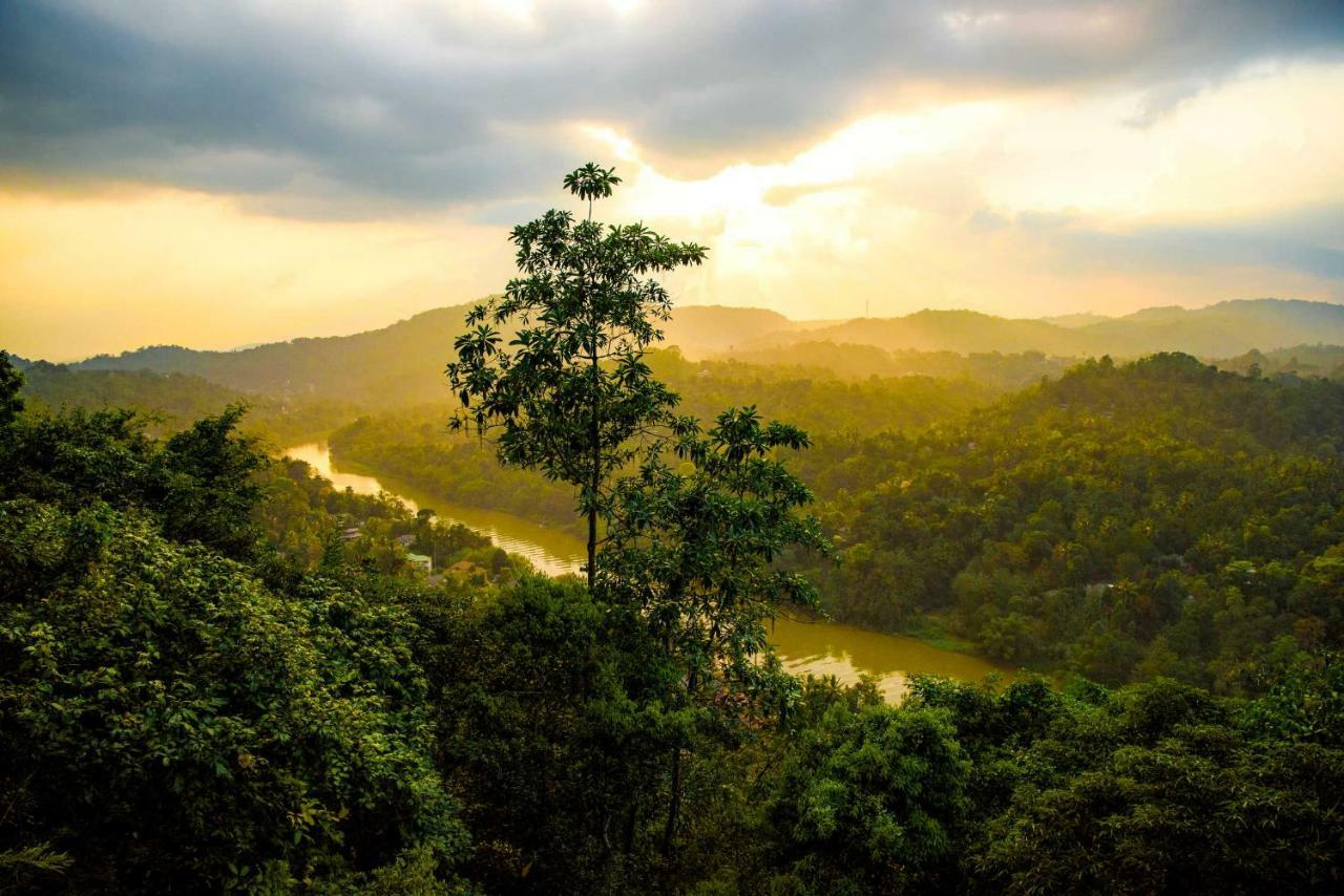 Villa Rosa Kandy Bagian luar foto